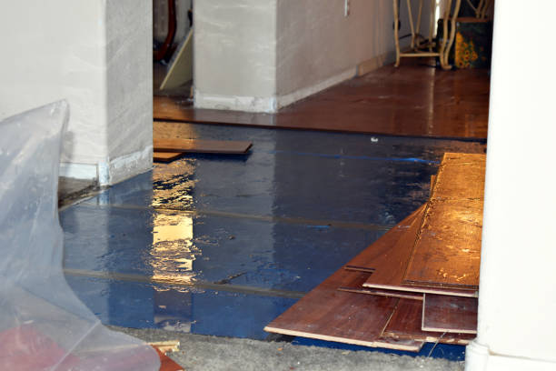 Professional Basement Flood Cleanup technician working in Mount Hermon, VA